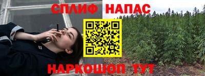 дмт Новозыбков