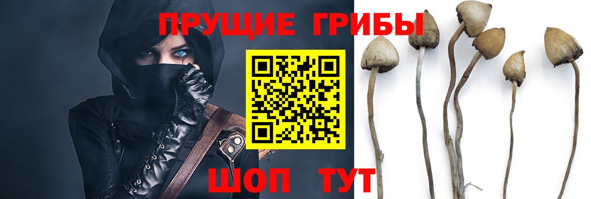 Сургут  Галлюциногенные грибы MAGIC MUSHROOMS  магазин продажи наркотиков  Вход с VPN 